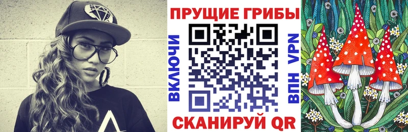 купить   Советск  Псилоцибиновые грибы ЛСД 